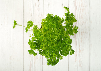 Tied fresh parsley on wooden background