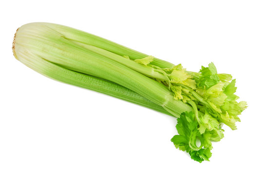 healthy celery twig