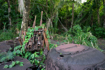 Palau gun 4