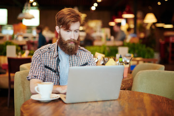 Bearded red-haired journalist sitting in cyber cafe with cup of fragrant coffee and writing article on laptop, waist-up portrait