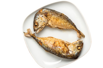 Fried Mackerel fish on a white dish