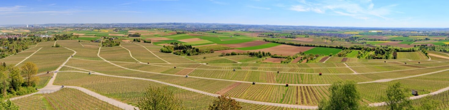 Panoramablick vom Heuchelberg