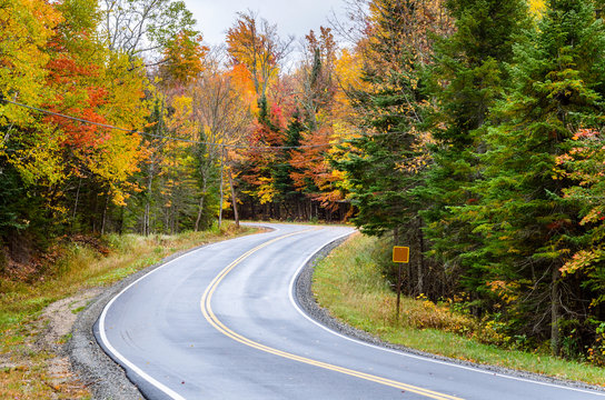 Winding Mountain Road Through a Forest in Autumn. Gorgeous Fall Colors.