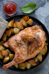 Close-up of baked half chicken with roasted potato wedges, above view