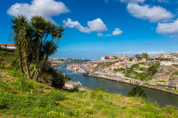Naklejka na ściany i meble Porto and Douro River Portugal