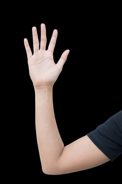 right hand a woman show hi five, greet, stop, slow down, empty, number five, the fifth sign, a long hand with upper arm and elbow. isolated on black background