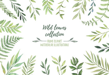 Hand drawn watercolor illustration. Botanical frame with green leaves, branches and herbs. Floral Design elements. Perfect for wedding invitations, greeting cards, prints, posters, packing etc