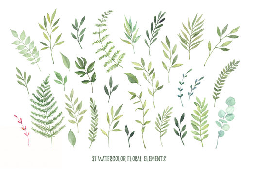 Hand drawn watercolor illustrations. Botanical clipart ( leaves, flowers, swirls, herbs, branches). Floral Design elements. Perfect for wedding invitations, greeting cards, blogs, posters and more