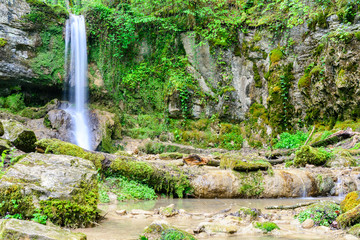 Wasserfall im Wald mit viel Idylle 