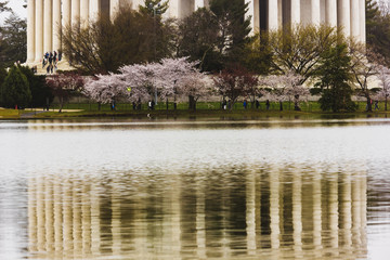 Reflection of the Jefferson Memorial's Ionic colonnade on the surface of the Potomac River Tidal...