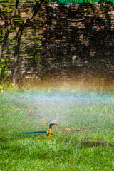 Garden sprinkler watering grass