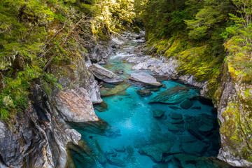 Fototapety  Blue River at Blue Pools track in the South Island of New Zealand. Blue pool track is a short walk from State Highway 6, Haast Pass