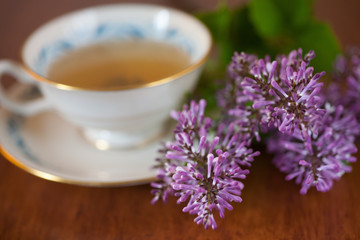 Obraz na płótnie Canvas green tea in a vintage porcelain teacup with purple flowers