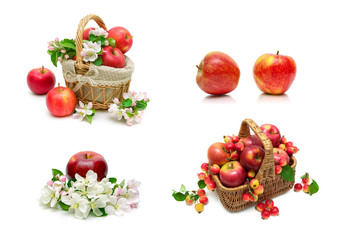 Fototapeta na wymiar Ripe red apples on a white background.