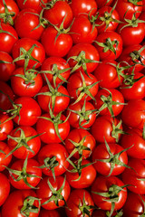 red tomatoes background. Group of tomatoes
