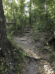 hiking path