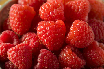 Raw Organic Red Raspberries