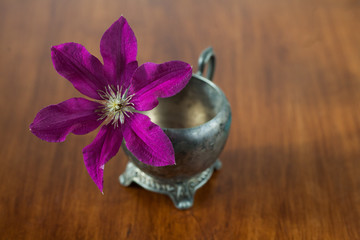 Morning Glory flower rest  in vintage cream bowl on a tray on top of a wooden table