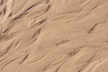 Sandy Shore
