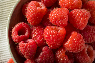 Raw Organic Red Raspberries