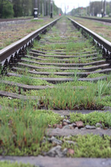 Railway and green grass.