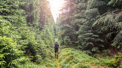 Trailrunning man in a forest
