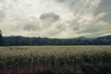 Wolken &uuml;berm Land