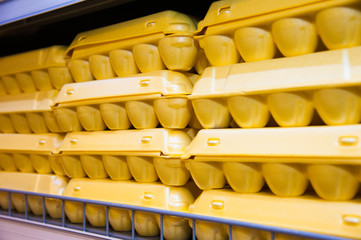 Packaging of eggs in shop