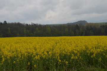 Wolken überm Land