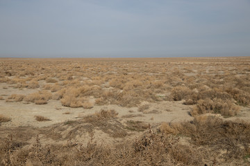 The vast expanses of the Kazakh dry steppes and semi-deserts