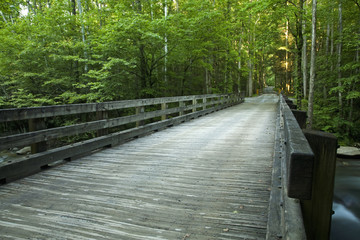 Bridge over Little Pigeon River, Greenbrier, Great Smoky Mountains NP, TN