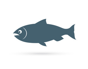 Salmon fish vector icon