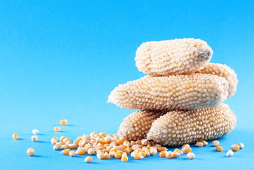 Stalk of raw corn on a blue background © Valerii Dekhtiarenko