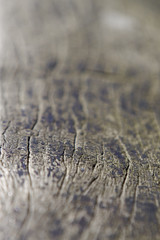 Textured wood