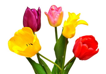 Bouquet of colorful and beautiful tulips flowers isolated on white background. Still life, wedding. Flat lay, top view