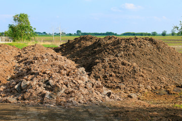 Fertilizer from cow manure and straw. Heap of manure,