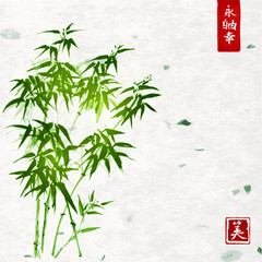 Green bamboo on handmade rice paper background. Traditional oriental ink painting sumi-e, u-sin, go-hua. Contains hieroglyphs - eternity, freedom, happiness, beauty © elinacious