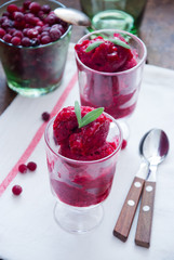 Homemade Berry sorbet