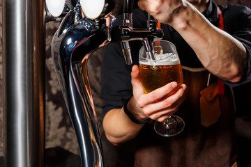 The bartender pours the beer into the glass