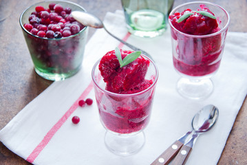 Homemade Berry sorbet