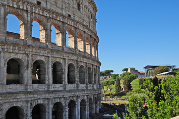 Fototapeta na wymiar Roma, il Colosseo