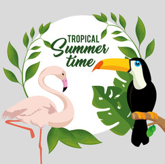 tropical summer time poster vector illustration design