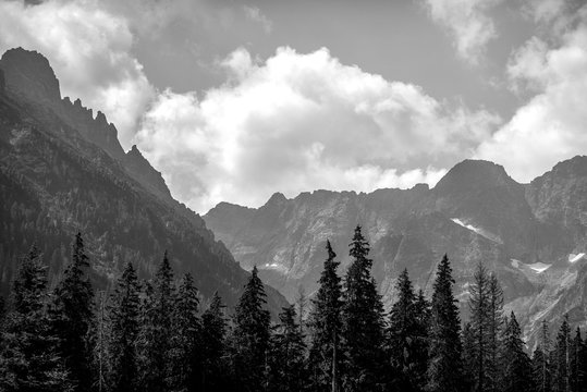 View of Mountain Peaks in Summer Time. High Tatras (Black & White) © Saulius