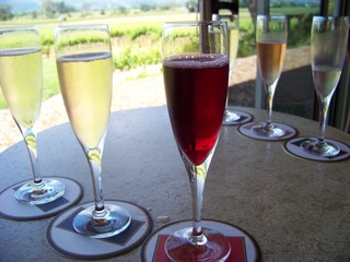 Champagne Tasting - Napa, CA