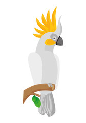 parrot tropical bird icon vector illustration design