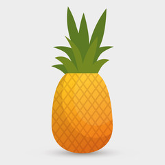 pineapple tropical fruit icon vector illustration design