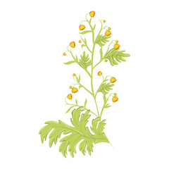 cute flower plant icon vector illustration design