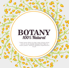 botany 100 percent natural vector illustration design