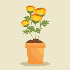 cute flower in pot icon vector illustration design