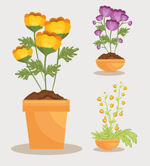 cute flower in pot icon vector illustration design
